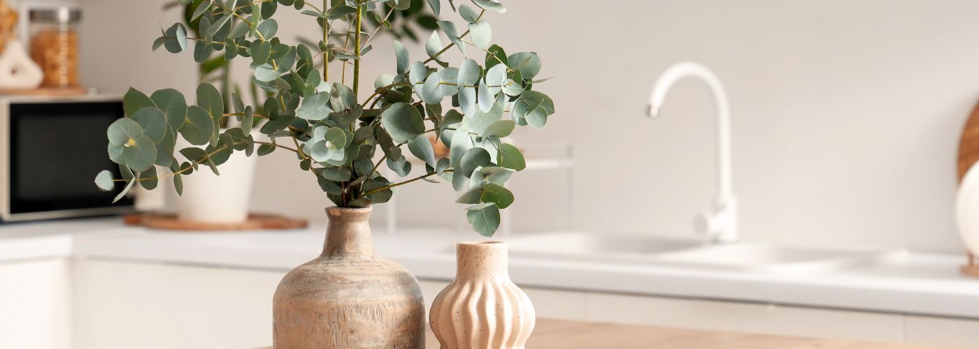 Best Plants For Home Staging